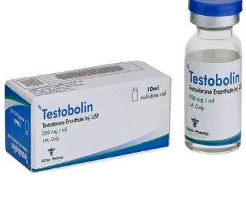 3kZIrokcbIMZqM3uDadP-1