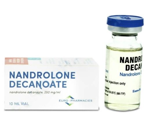 PG6mc2x7pwd8itEX8Bko-1