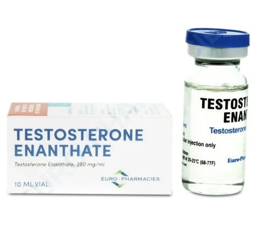 y49fqeUHZx4Ka0eOYxdQ-1